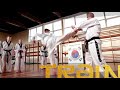 Taekwondo kicking technique